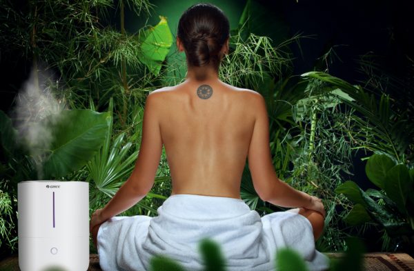 Ultrwadźwiękowy nawilżacz powietrza Gree Mystic-1026914
