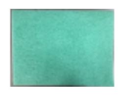 Allergy - filtr do oczyszczacza powietrza Wells AL315-0