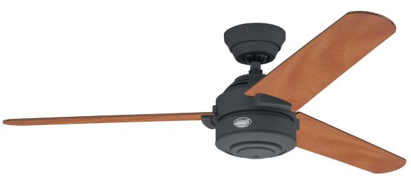 Wentylator sufitowy Hunter CARERA grafit-0